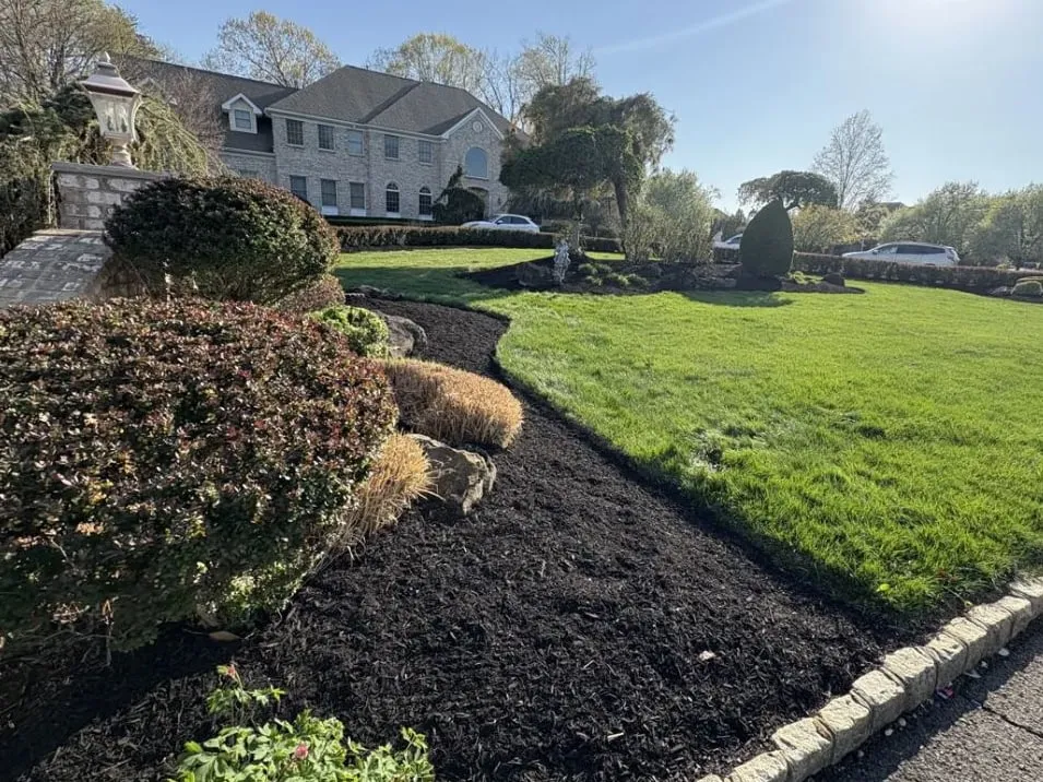 Fresh black mulch bed with shrubs and boulders along a Belgian block curb and green lawn in front of a large brick home