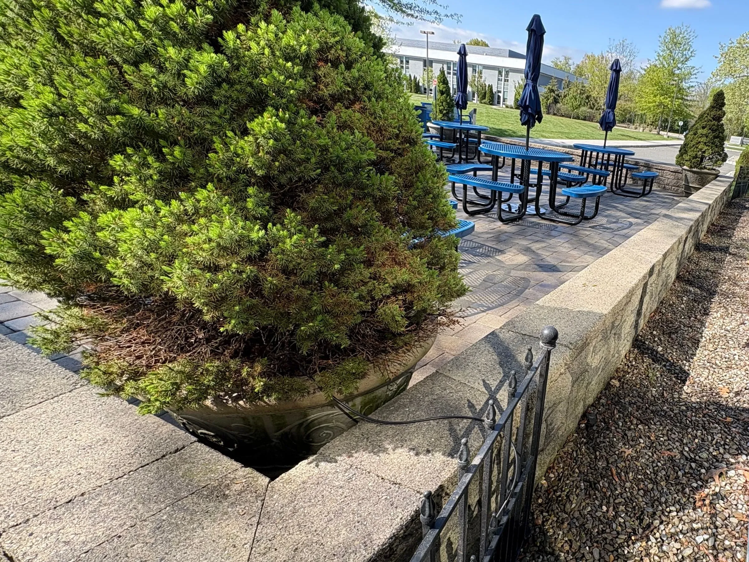 After: The same patio wall after power washing: the stone cap is clean and pale in bright sun, blue picnic tables behind.