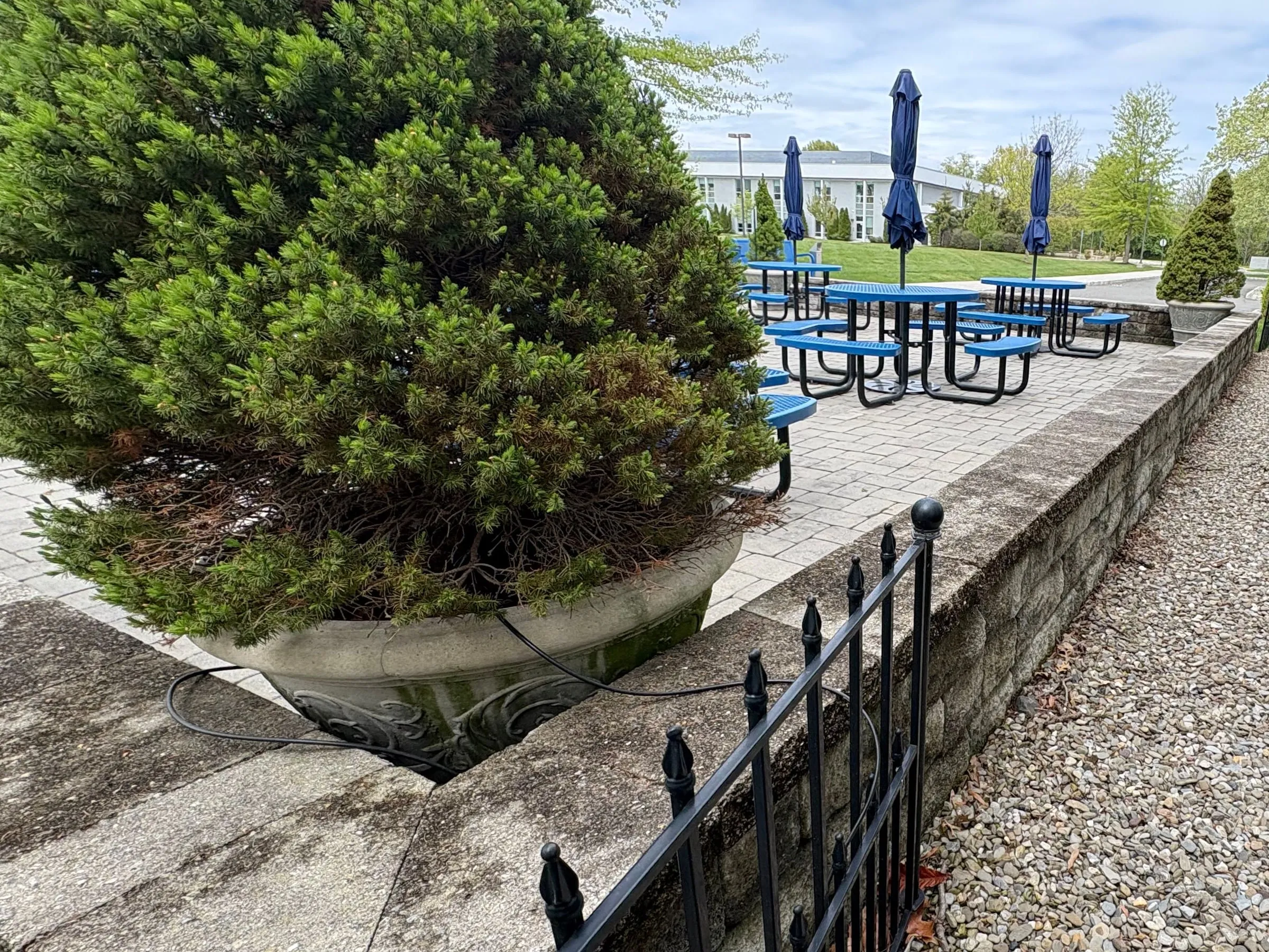 Before: Stone wall cap along a raised paver patio before power washing, dark and blotchy with grime, blue picnic tables behind.