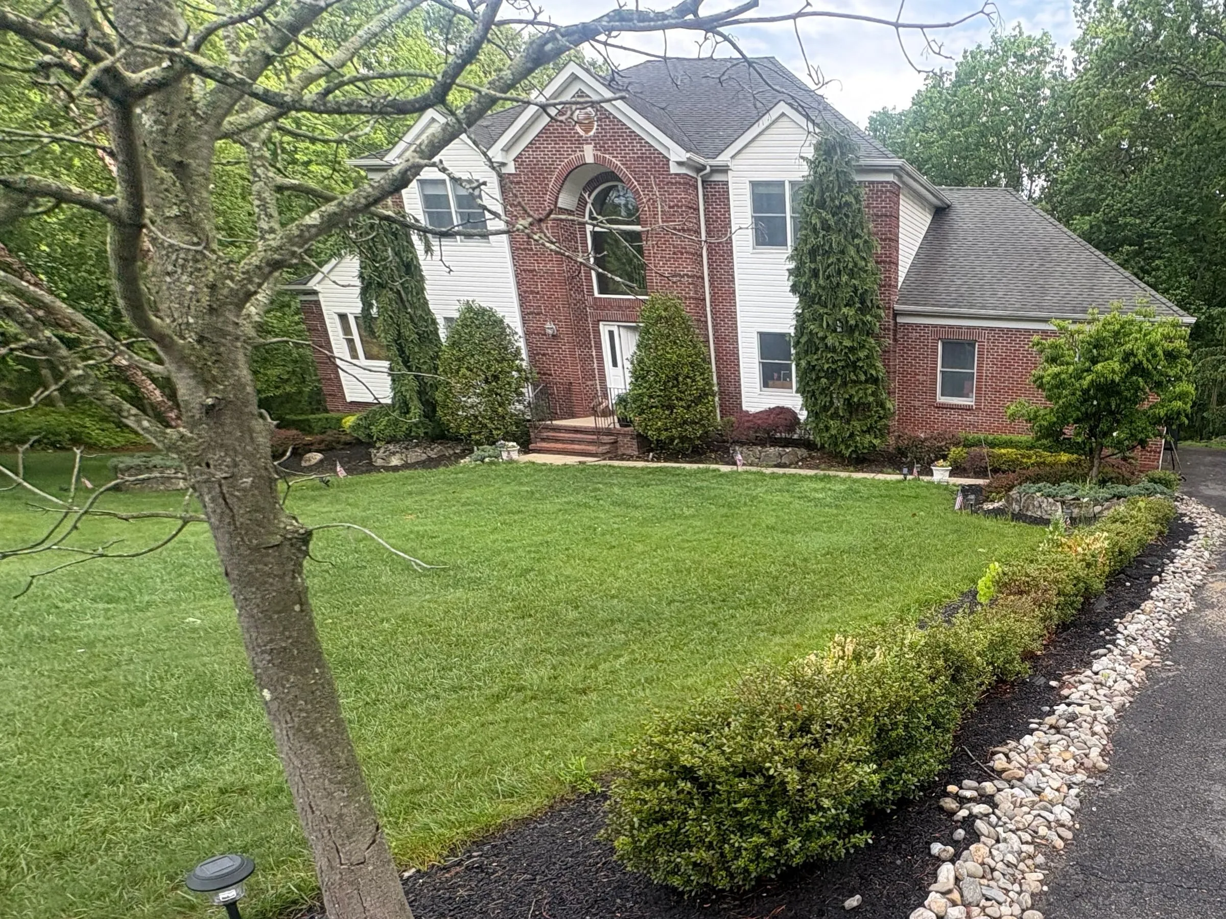 Before: Overgrown boxwood hedge and scattered river rock along a driveway, with a bare tree in front of a brick house