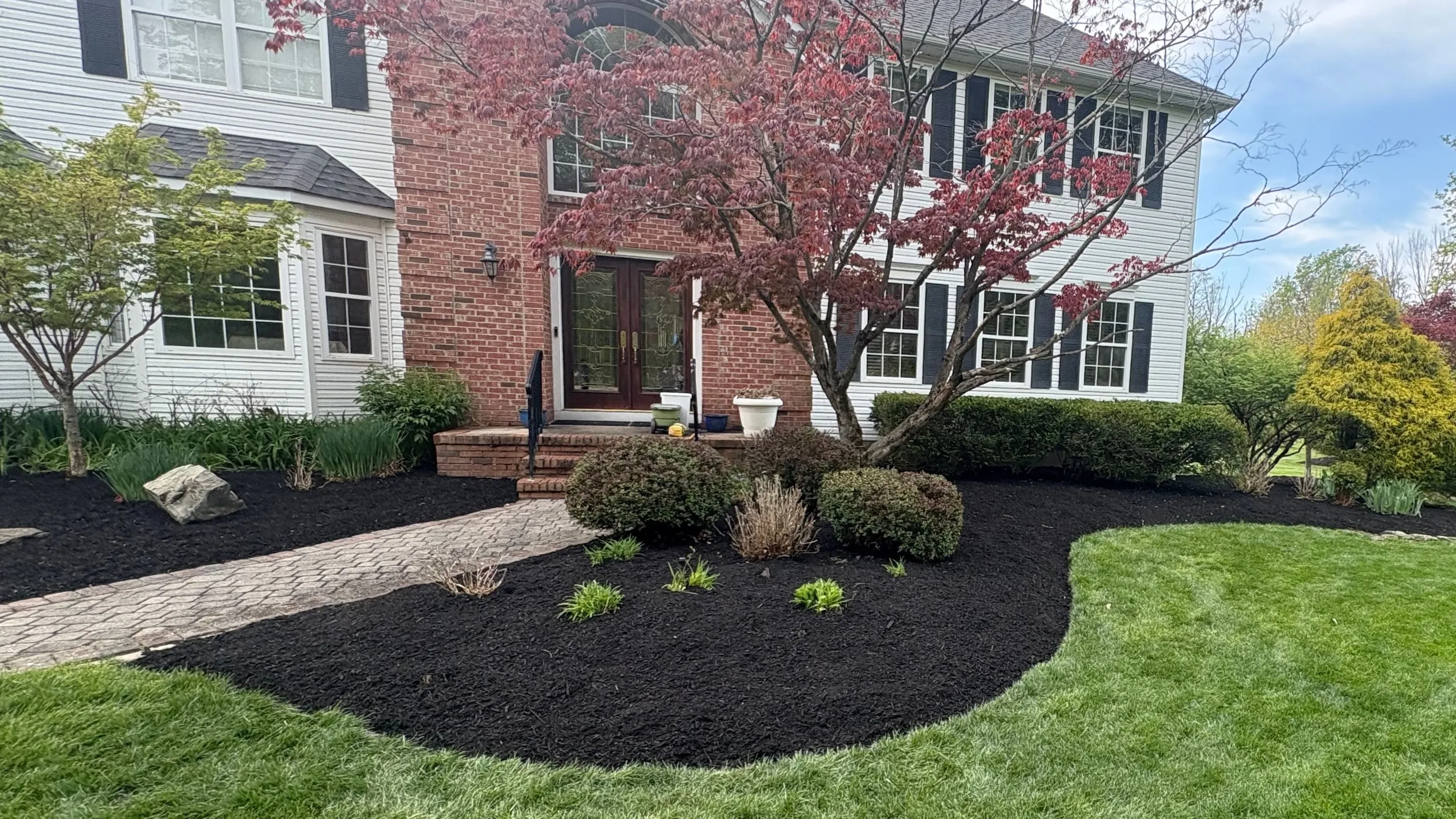 White and brick two-storey house with a curved black mulch bed, red Japanese maple, trimmed shrubs and a paver walkway