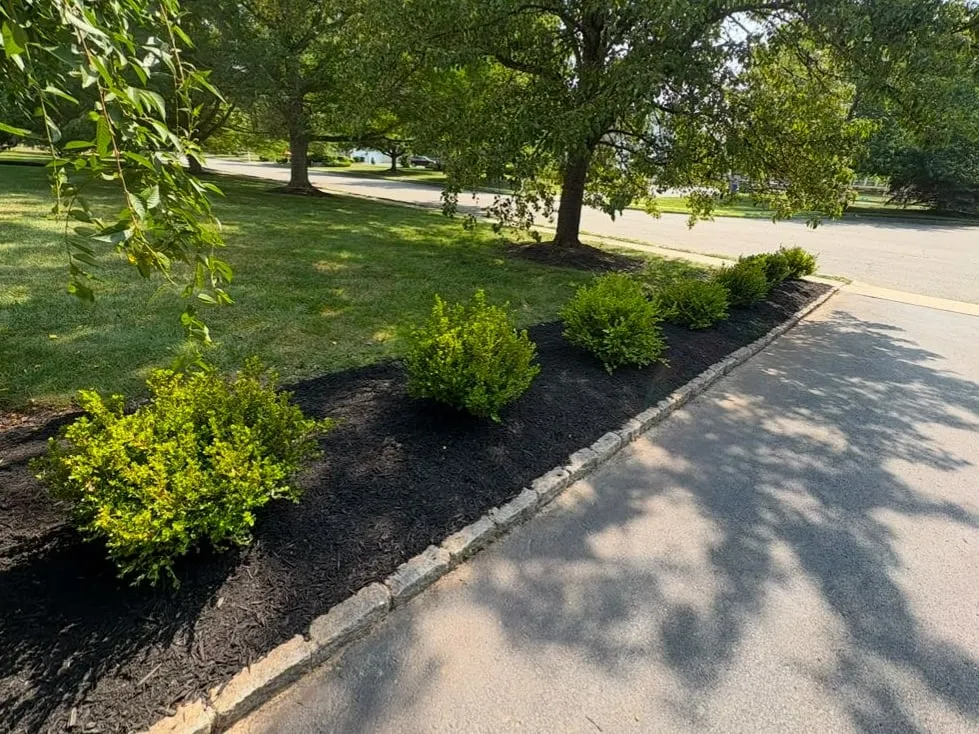 Row of new green shrubs in a fresh black mulch bed with granite block edging along an asphalt driveway