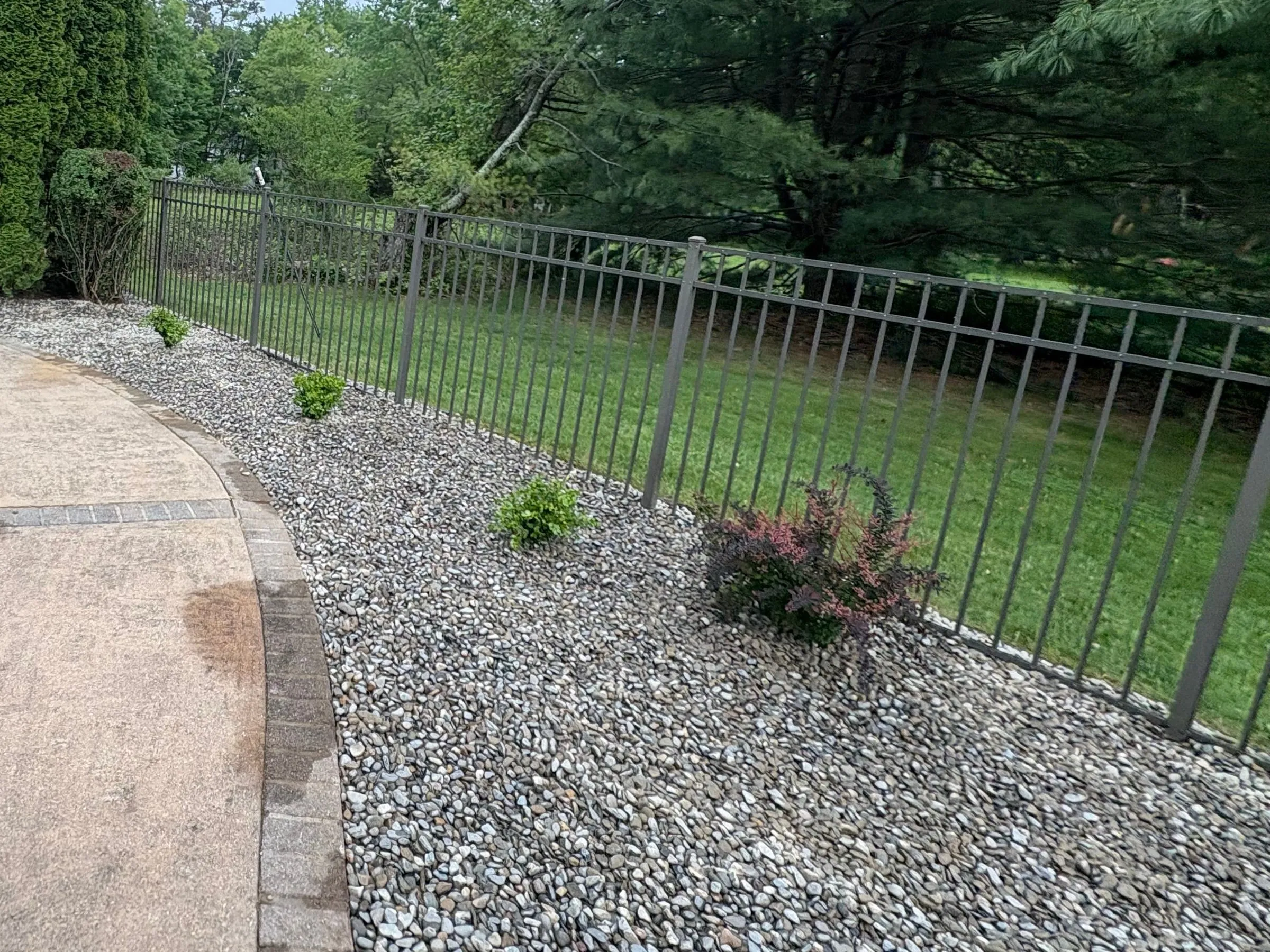 After: River rock bed with three green shrubs and a red-leaved shrub between a paver-edged patio and a metal fence.