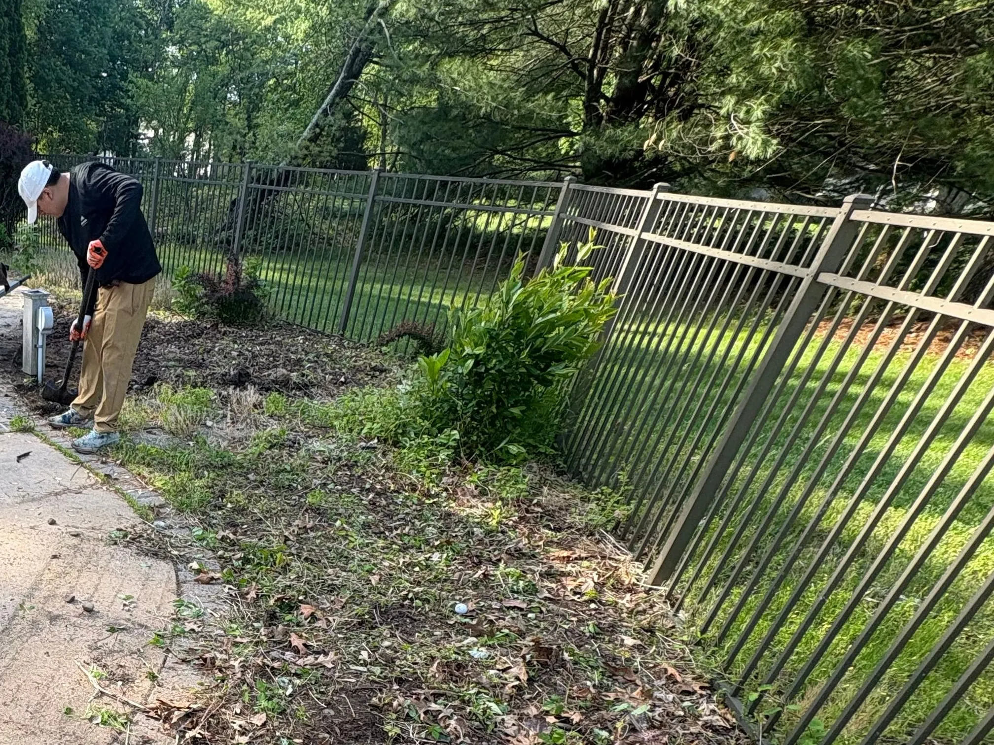 Before: Weedy, leaf-littered bed between a patio edge and a bronze metal fence, with a worker digging at the far end.
