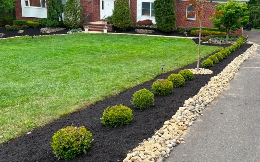 Row of round boxwoods in black mulch with a river rock border along a driveway, green lawn and brick house behind