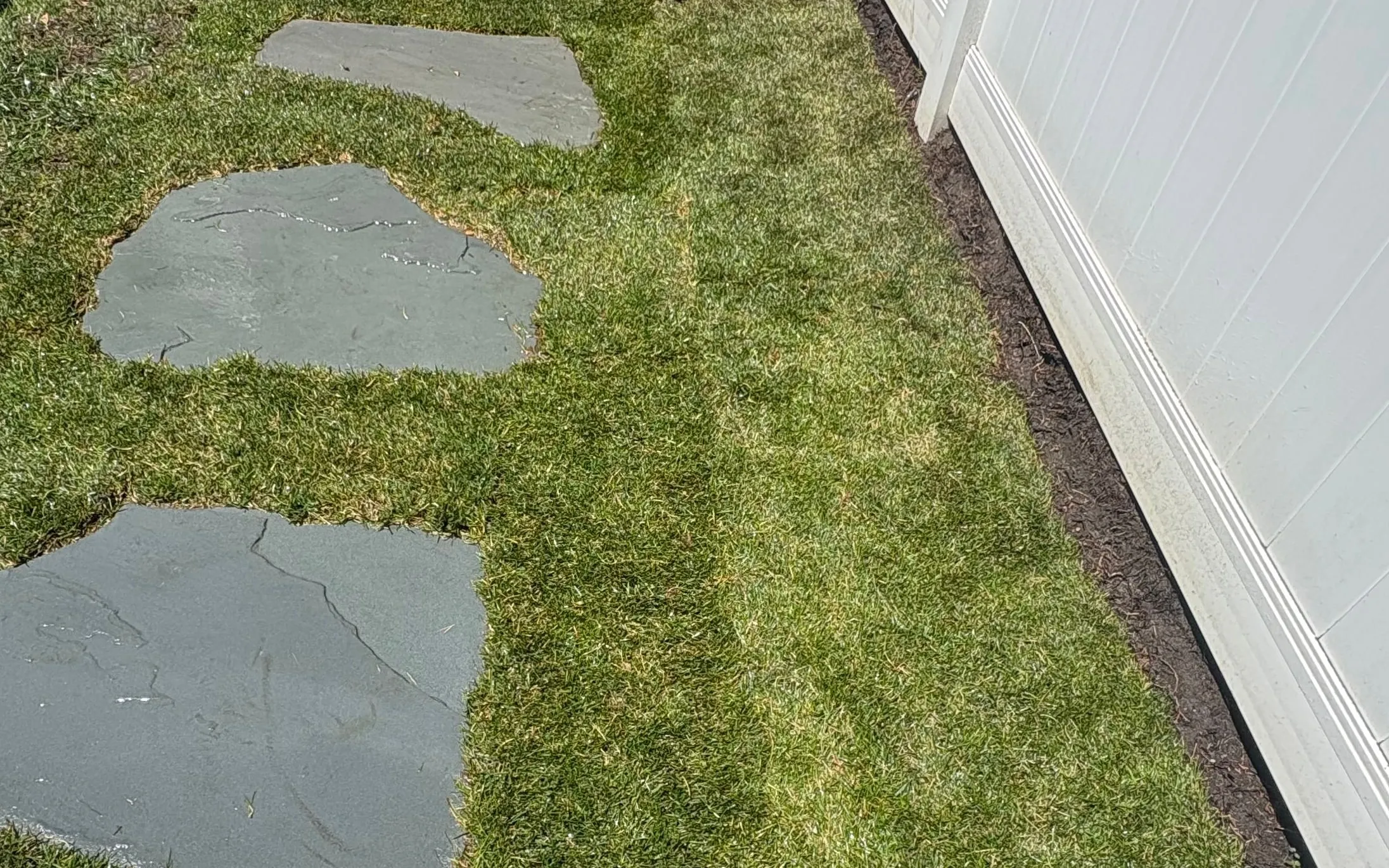 Fresh green sod laid around three bluestone stepping stones beside a white vinyl fence