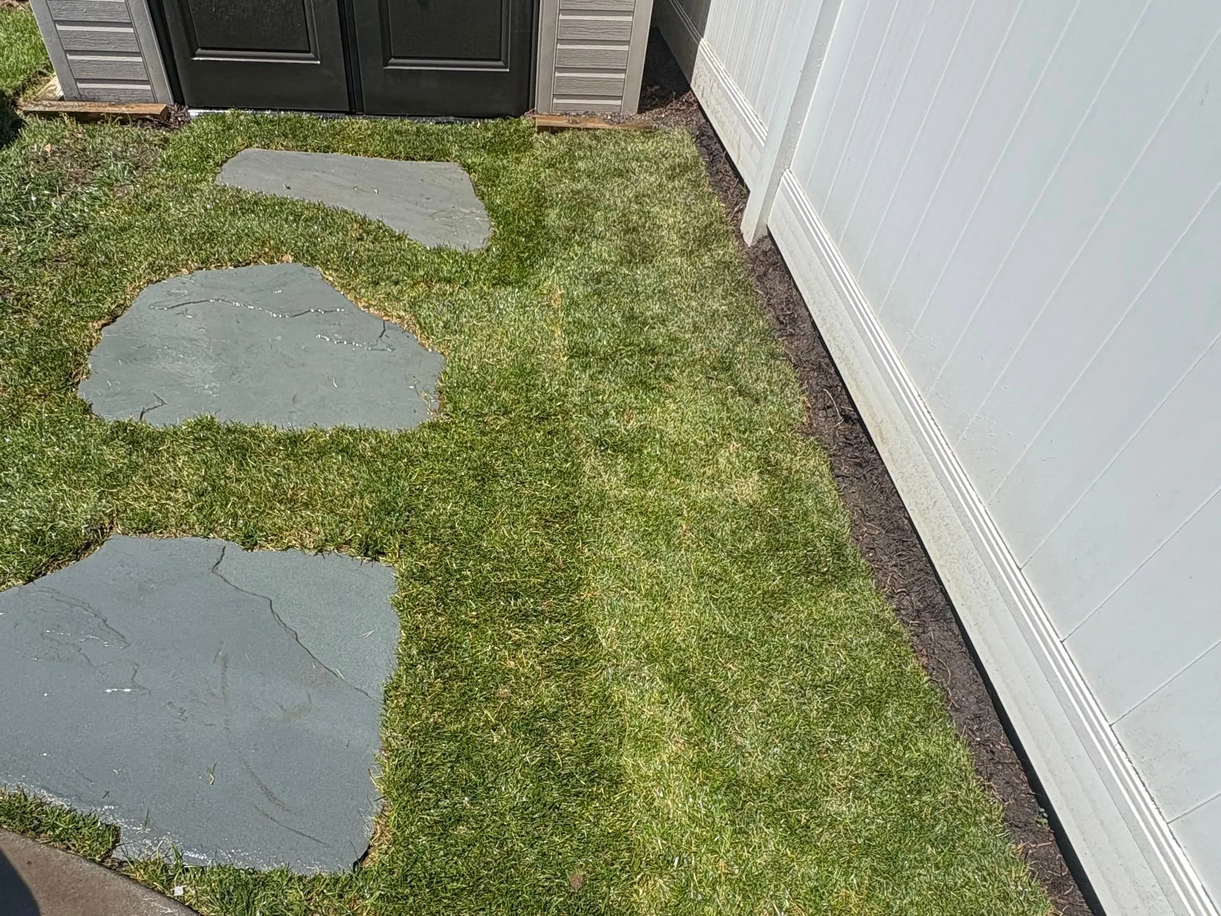 After: Three bluestone stepping stones set in fresh green sod, leading to a storage shed beside a white vinyl fence.