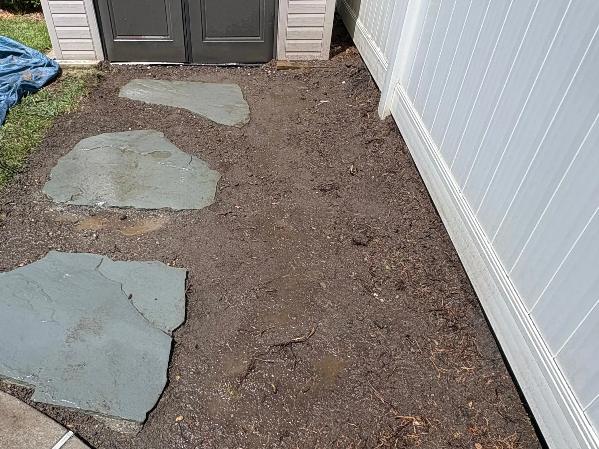 Before: Three bluestone stepping stones set in bare graded soil, leading to a storage shed beside a white vinyl fence.