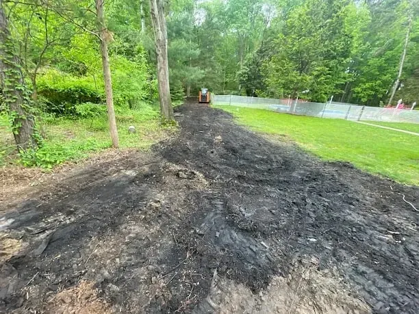 Dark topsoil spread and rough-graded along the wooded edge of a backyard, with a compact loader in the distance